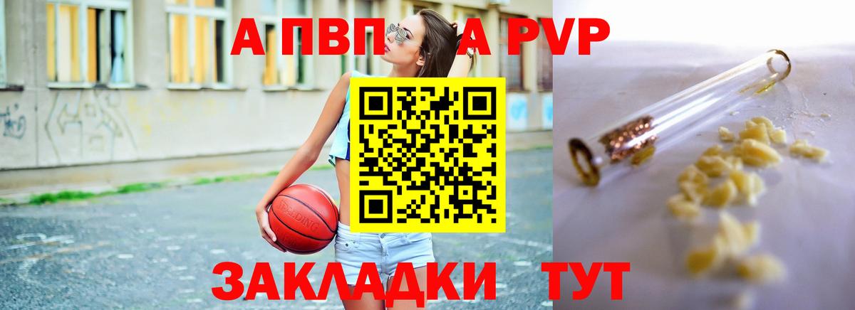 Alfa_PVP СК Павлово