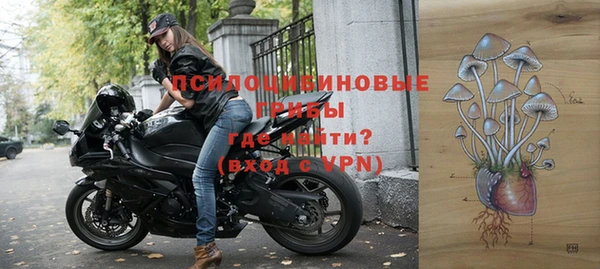 молекула духа Наволоки
