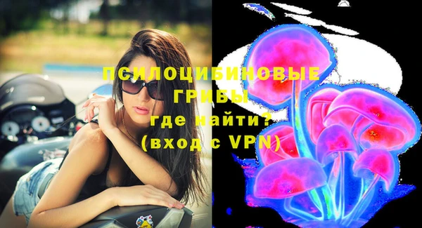 молекула духа Наволоки