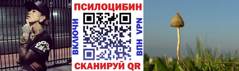Псилоцибиновые грибы Cubensis  Павлово 