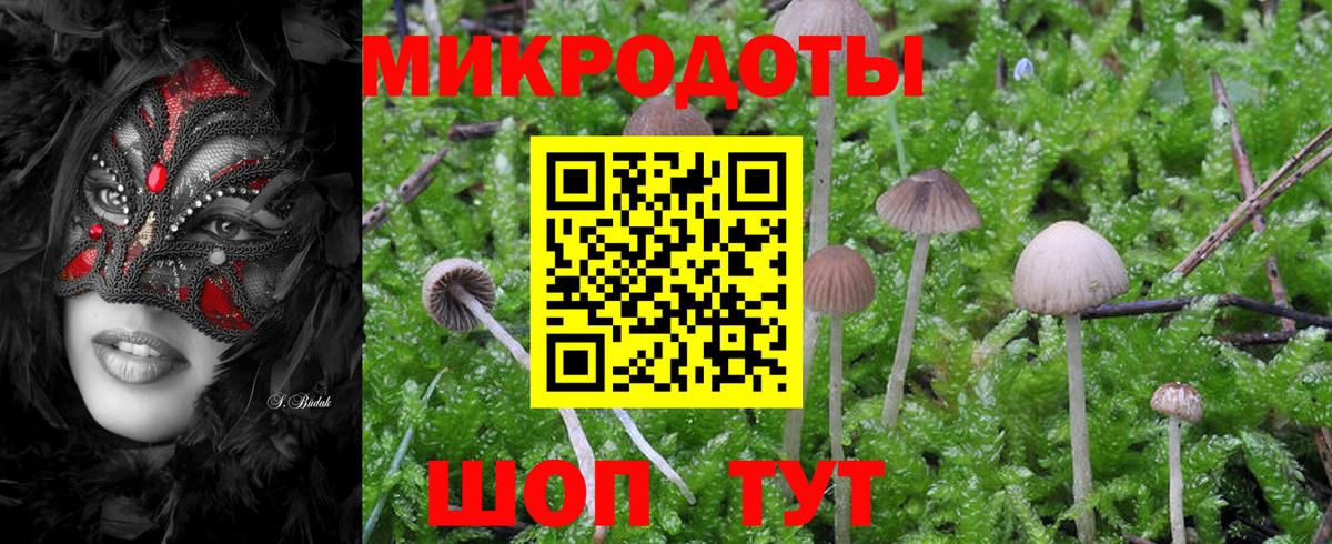 Галлюциногенные грибы прущие грибы  Вход с VPN  Павлово 