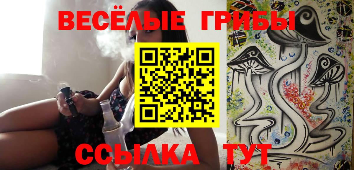 Псилоцибиновые грибы Cubensis  Павлово  Галлюциногенные грибы GOLDEN TEACHER 