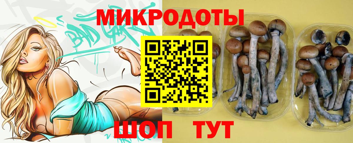 Псилоцибиновые грибы мухоморы Павлово