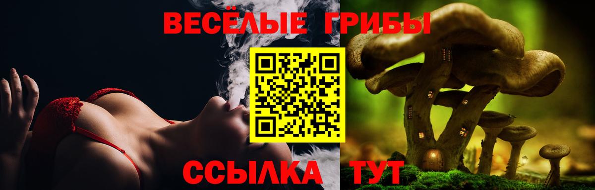 Галлюциногенные грибы MAGIC MUSHROOMS Павлово