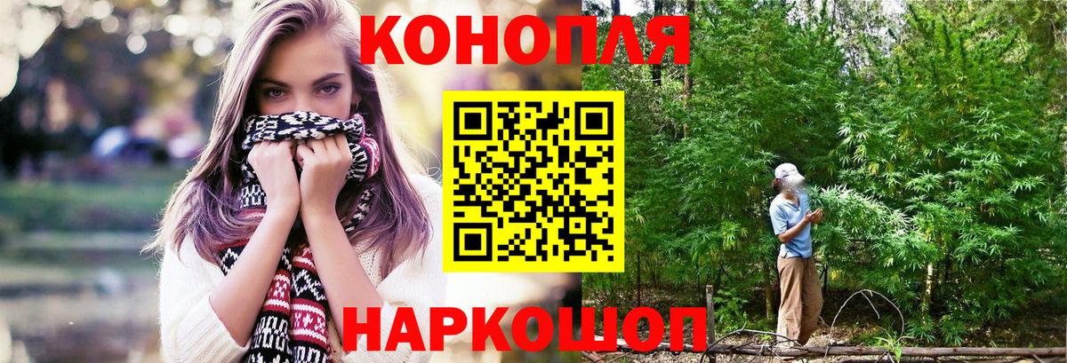 Бошки Шишки сатива Павлово